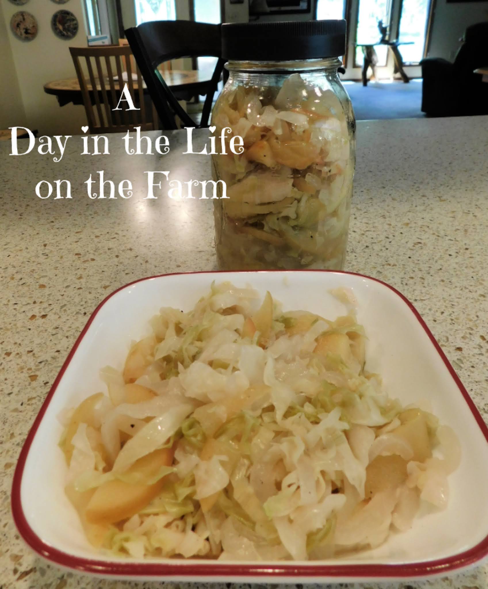 A Day in the Life on the Farm Pickled Cabbage FallFlavorsWeek
