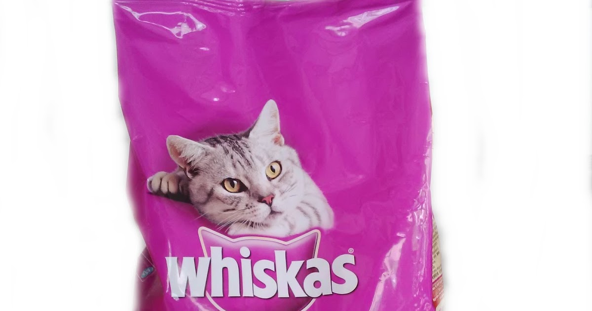 вискас меня 3. реклама вискас. выглядит вискас. Whiskas 1 +. вискас меня 3.