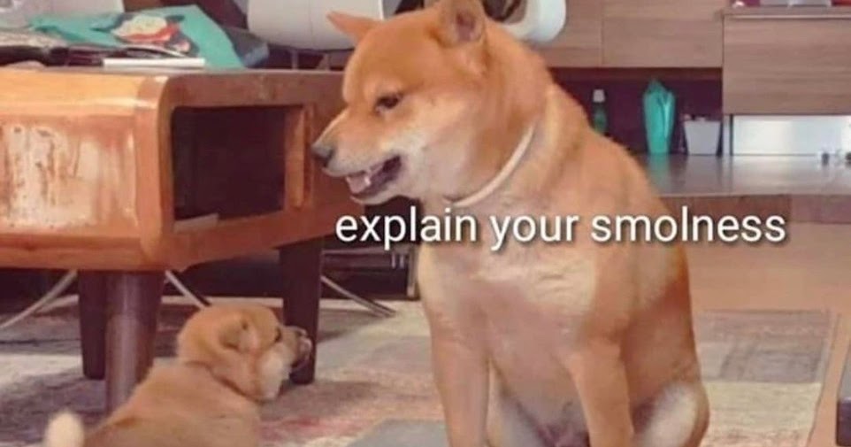 Explain that to me. Объясни свою маленькость. объясни свою маленькость мем. explain your smolness am potat оригинал. объясни свою маленькость мем кот.