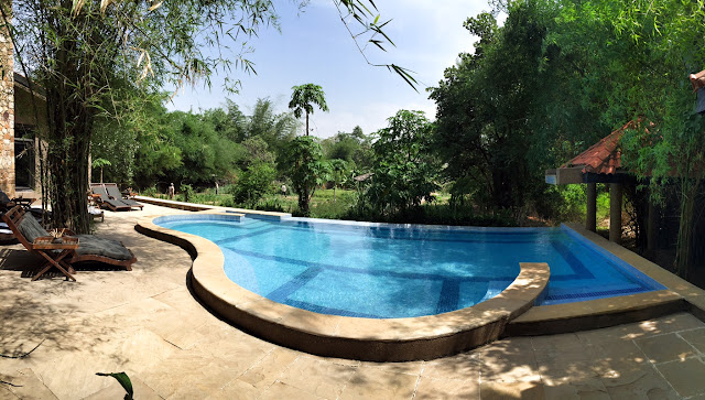 swimming pool King’s Lodge Bandhavgarh tiger reserve pugdandee safari review