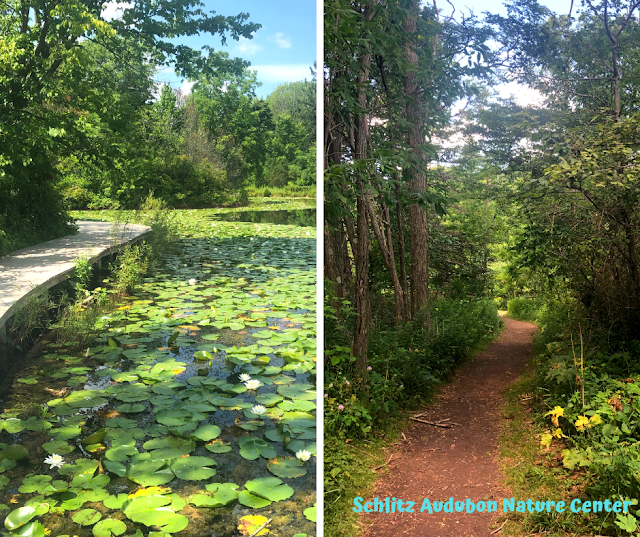 Schlitz Audubon Nature Center Entices With Incredible Nature on Milwaukee Hiking Trails