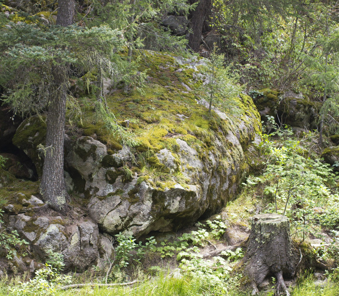 Illuminated Perfume New Mexico Adventure Las Conchas Trail