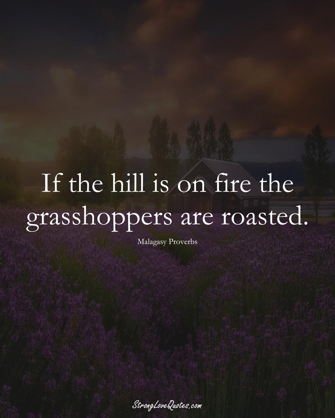 If the hill is on fire the grasshoppers are roasted. (Malagasy Sayings);  #AfricanSayings