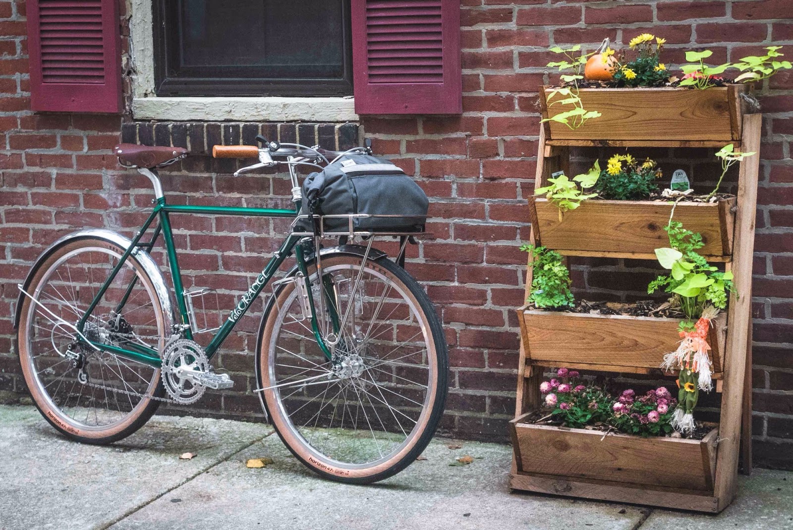 velo orange curvy too