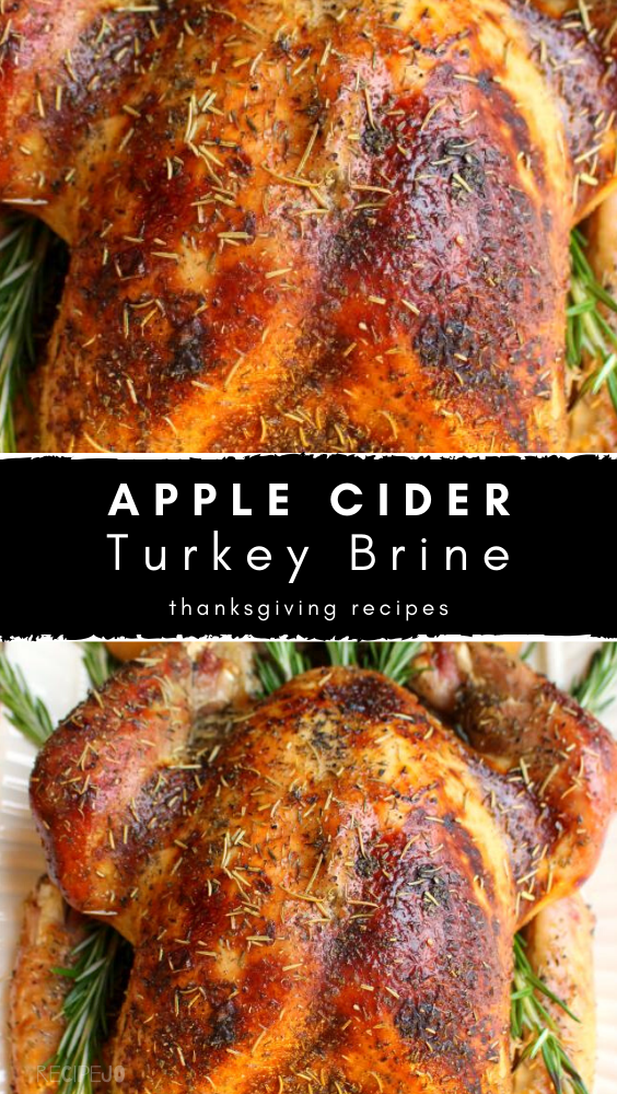 Best Turkey Brine Recipe (VIDEO) A Spicy Perspective