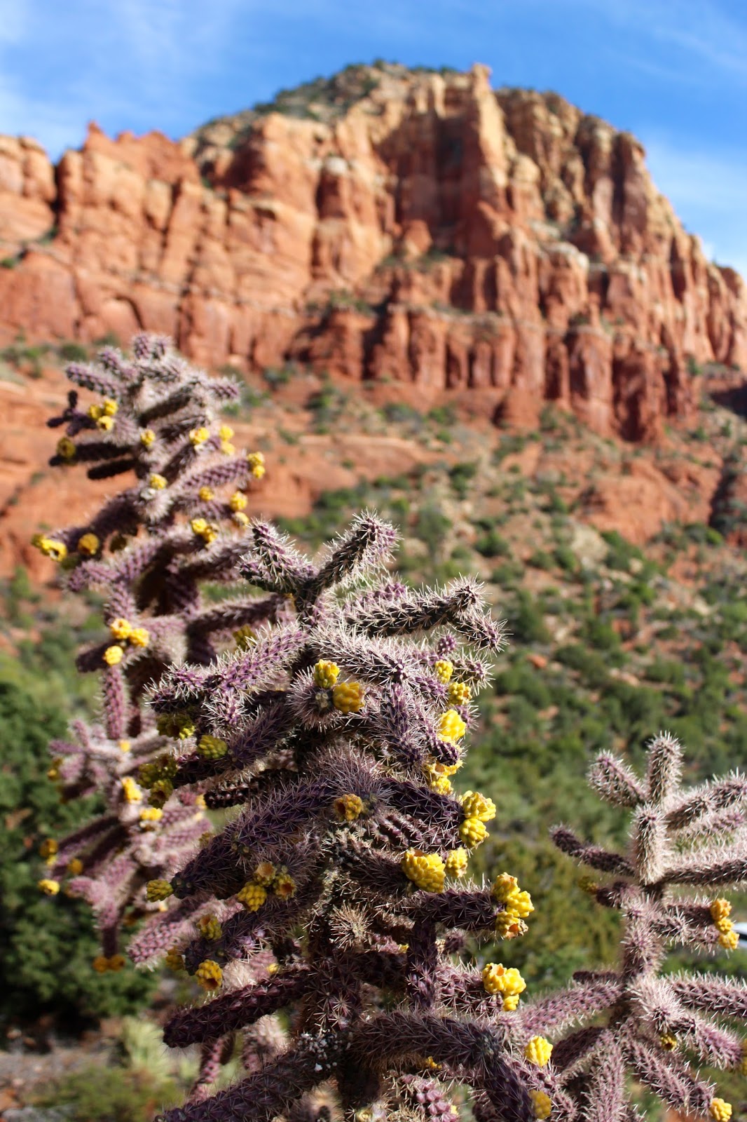 Thanksgiving in Sedona Manny & Mo
