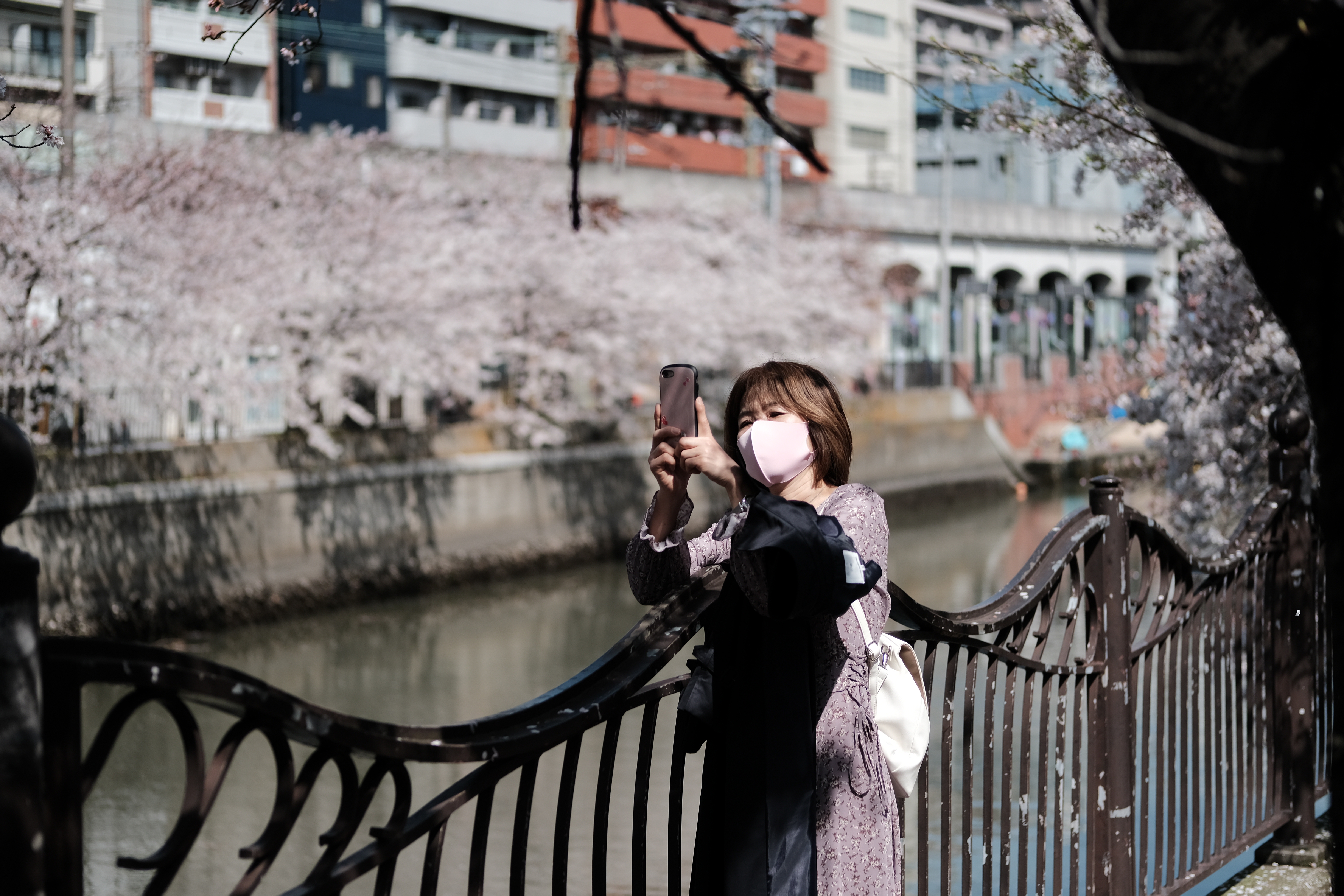 DSCF1787.JPG