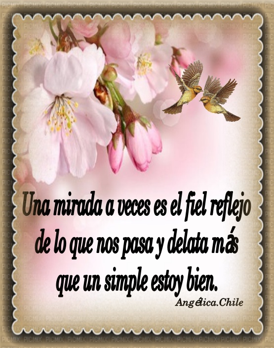 Sueños de Amor Y Magia: Una mirada