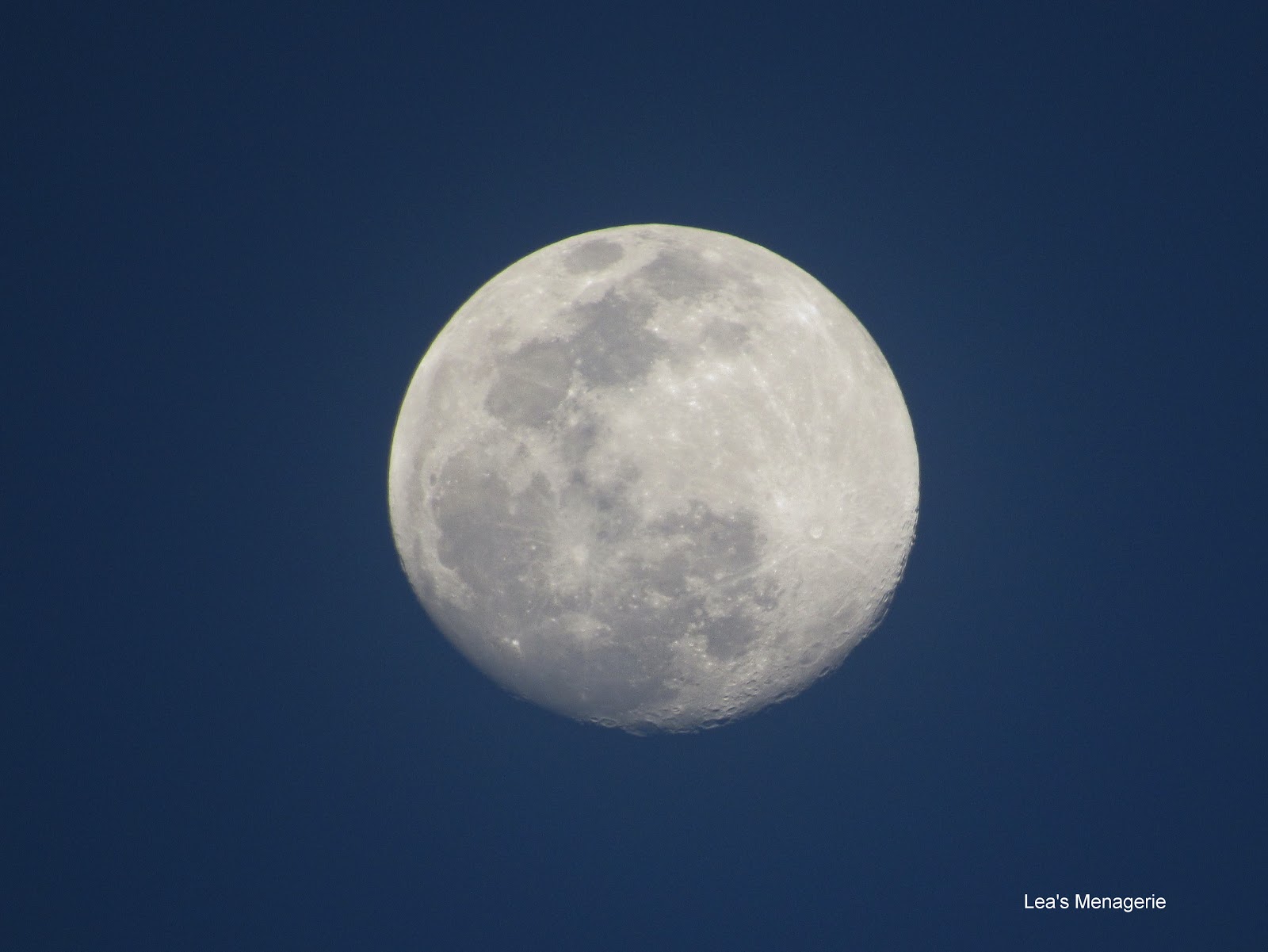 Включи серию луна. Большая Луна. Фото Луны. Изображение Луны. Фото на рабочий стол Луна.