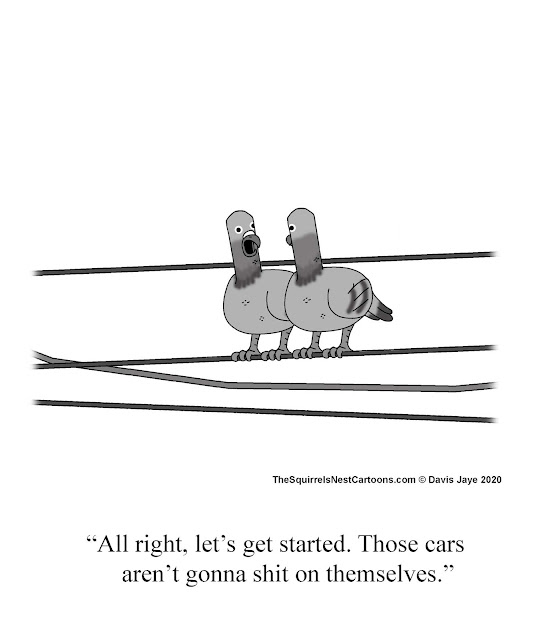 The Squirrel's Nest 761