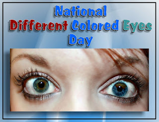 National Different Colored Eyes Day HD Pictures, Wallpapers