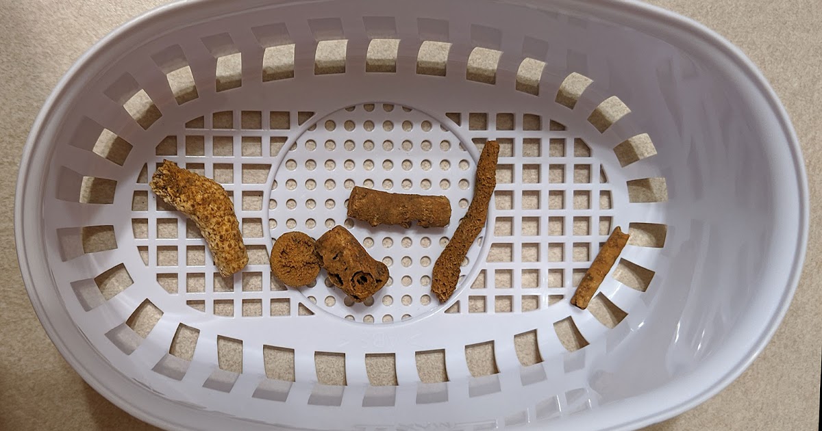 Louisville Fossils and Beyond Ultrasonic Cleaning of Fossils