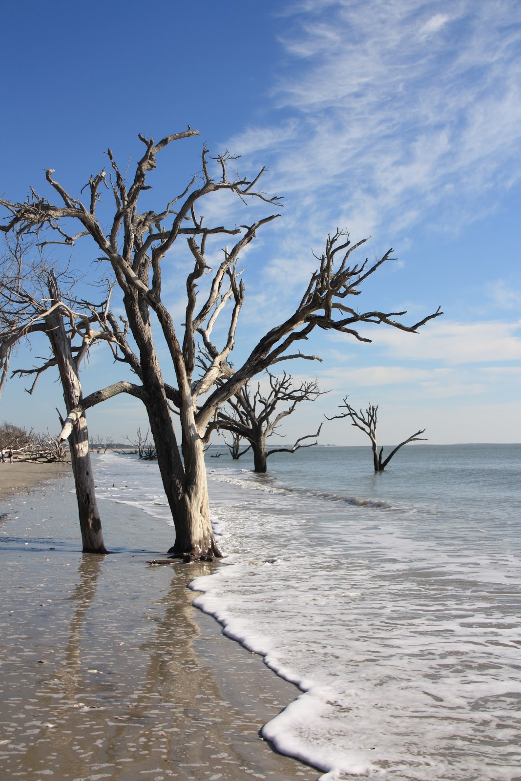 A is for Adventure Botany Bay on Edisto Island