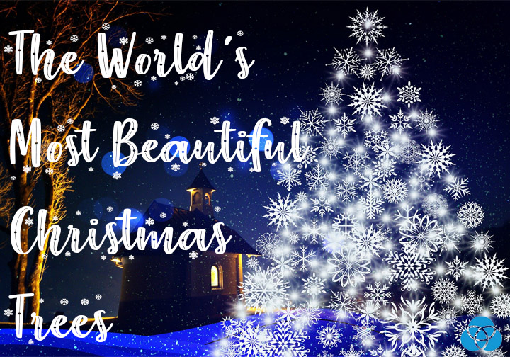 The Most Beautiful Christmas Trees In The World Vestellite