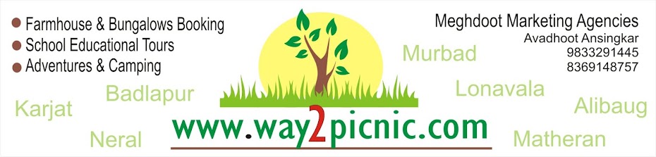 www.way2picnic.com