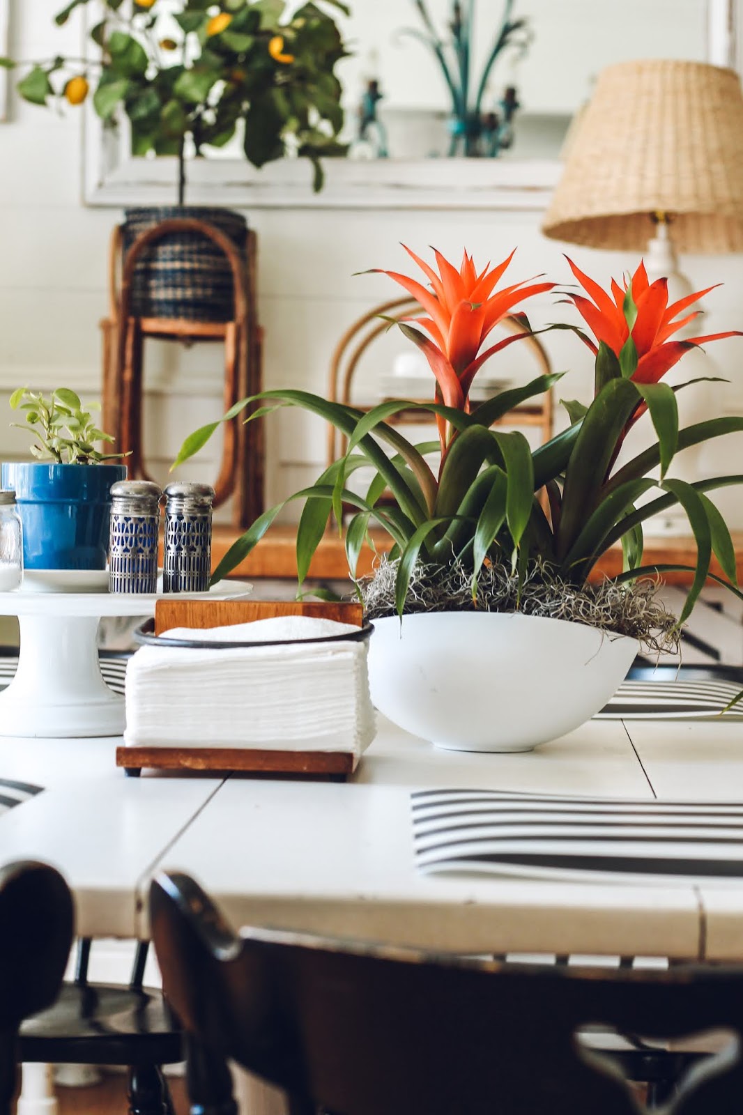 Tropical Infused Dining Room