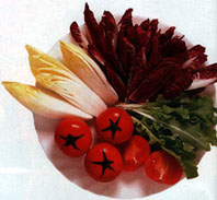 verduras4