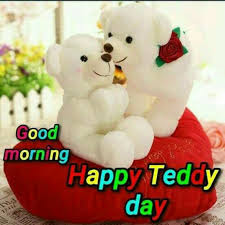 teddy bear teddy bear