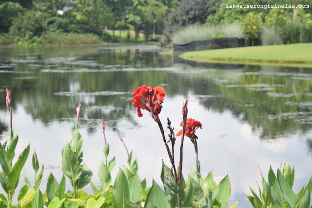 WHY THE SINGAPORE BOTANIC GARDENS IS A UNESCO WORLD HERITAGE SITE?