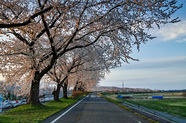 #photo #landscape #sigma #foveon #sdquattroh #japan #yamagata #tsuruoka #写真 #風景写真 #山形帝國 #山形県 #鶴岡市