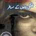 Bhatki rahon ke musafar novel by Rooma Javed Episode 4 pdf