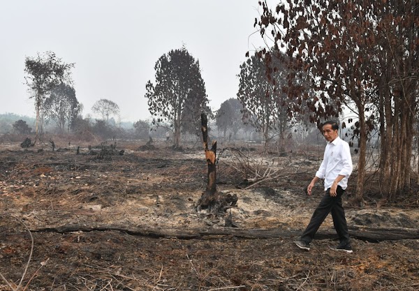 Surat Terbuka untuk Presiden Joko Widodo