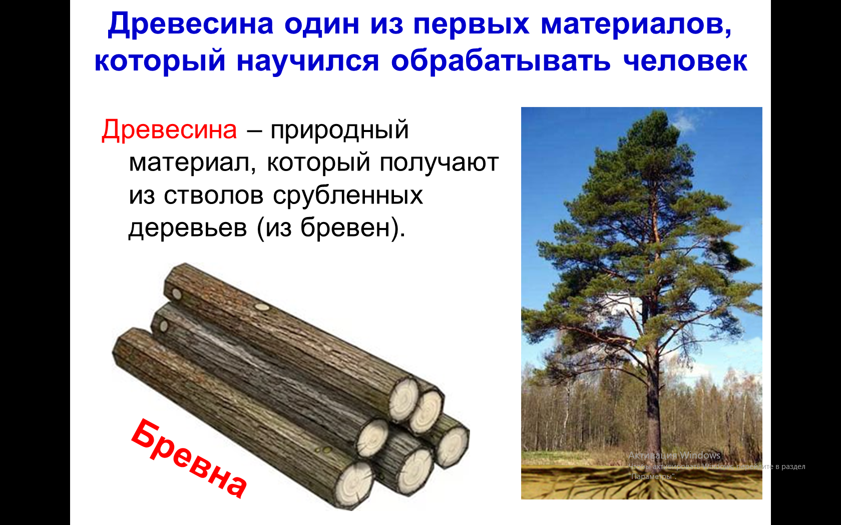Древесина и древесные материалы
