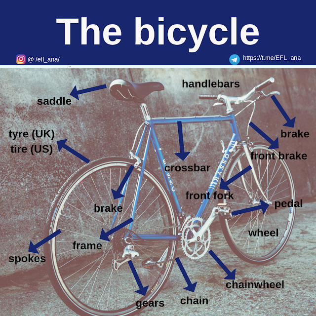 CPI Tino Grandío Bilingual Sections: The bicycle