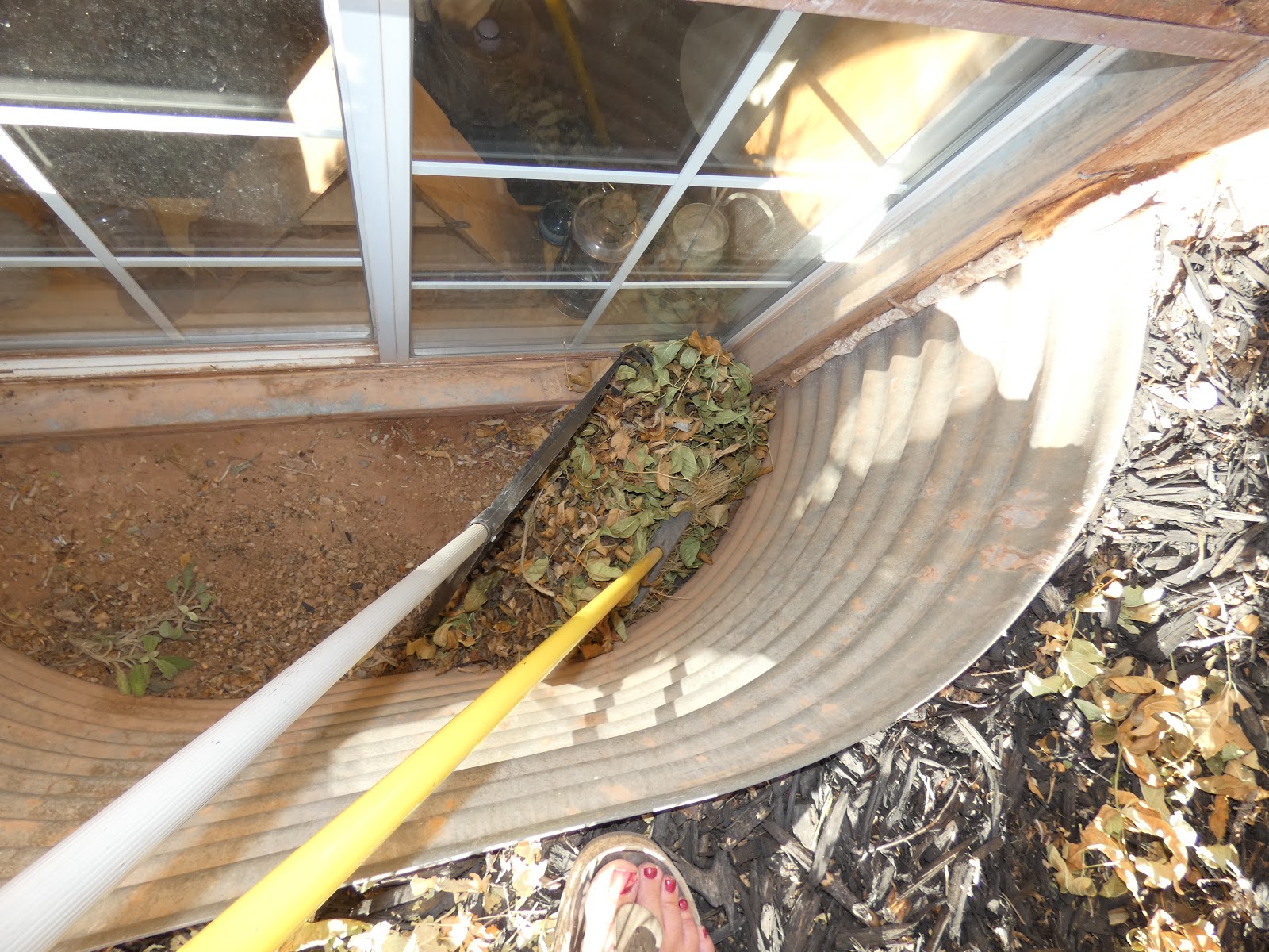 The "Secret" is Gratitude Fastest Way to Clean out the Window Wells on Basement Windows