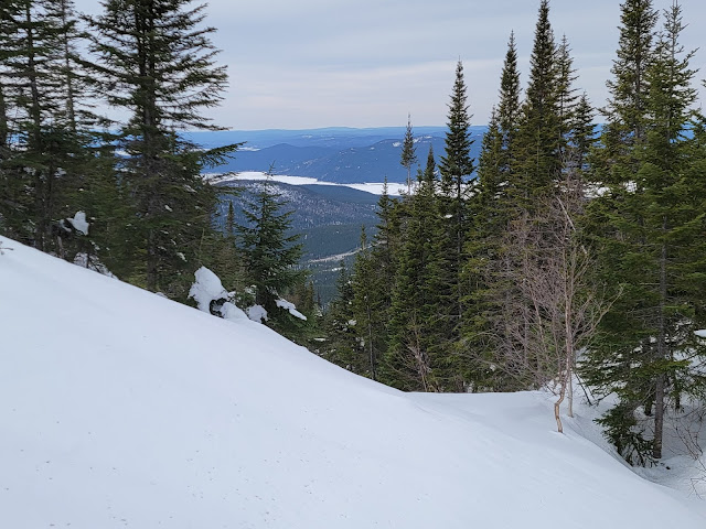 Point de vue sur le sentier pour le mont Harfang
