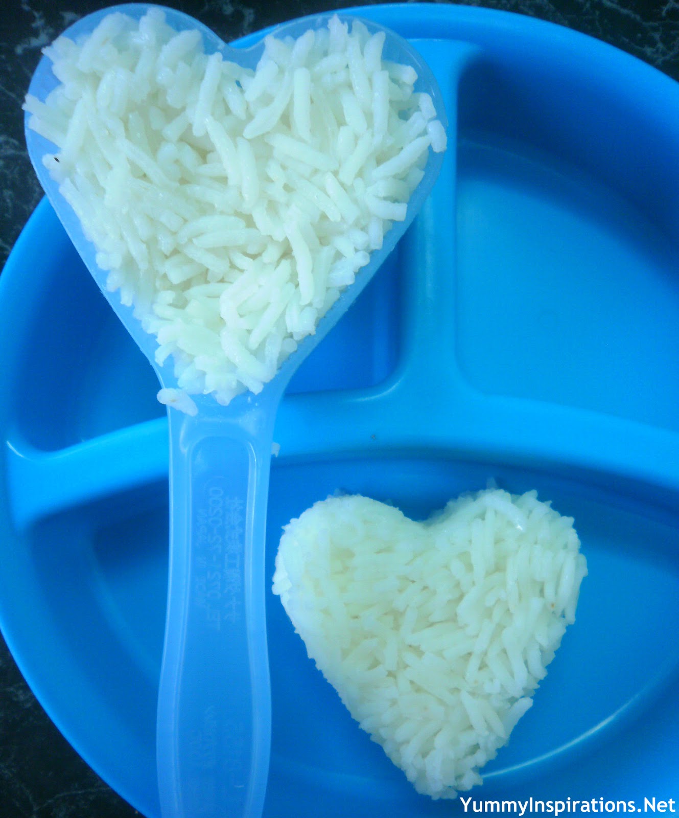 Uncooked Rice Mold Blue Rice Mold , Blue Mold – LRBO