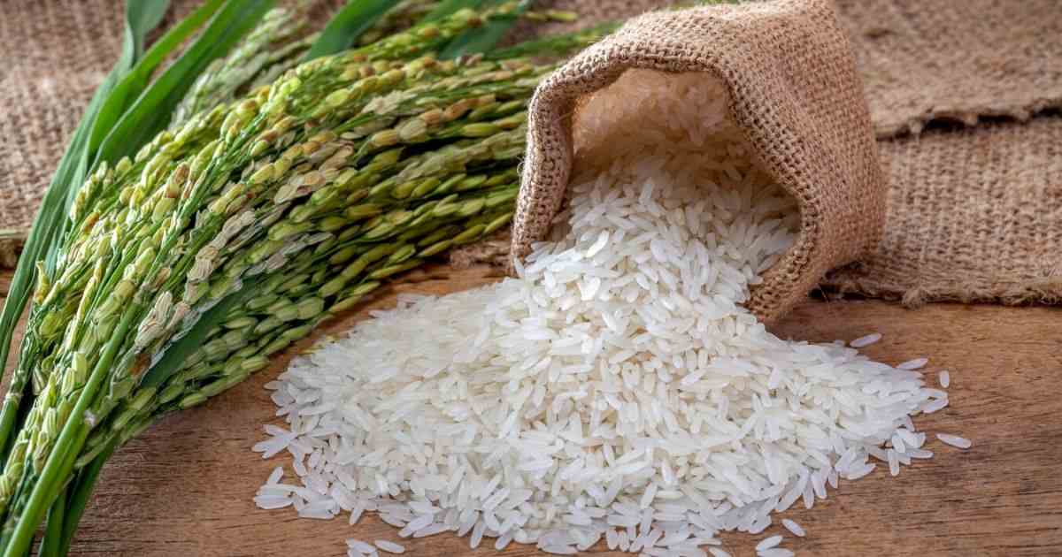 Zakat Fitrah kadar bayaran zakat fitrah