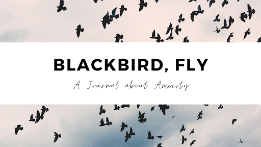 Blackbird, Fly