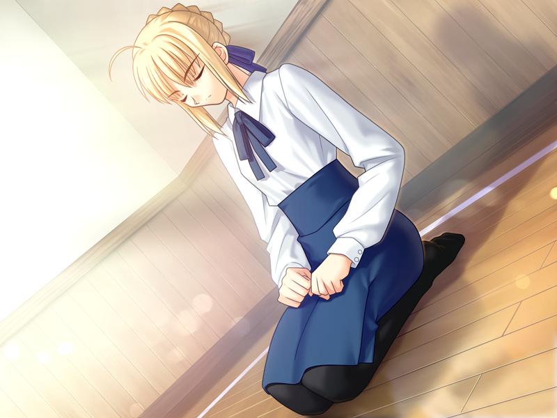 Karasu no Sekai: Fate/stay night (Visual Novel)