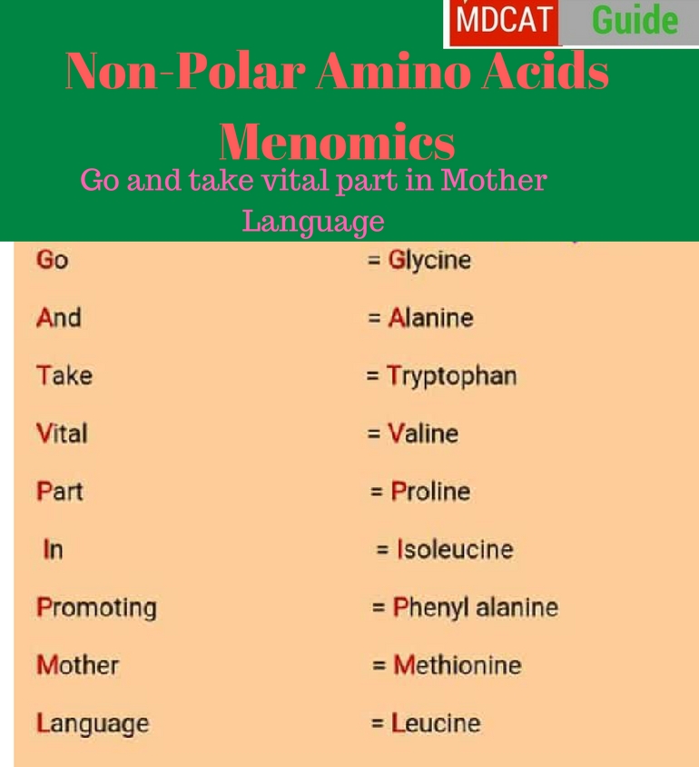 Hydrophobic Amino Acids Mnemonic