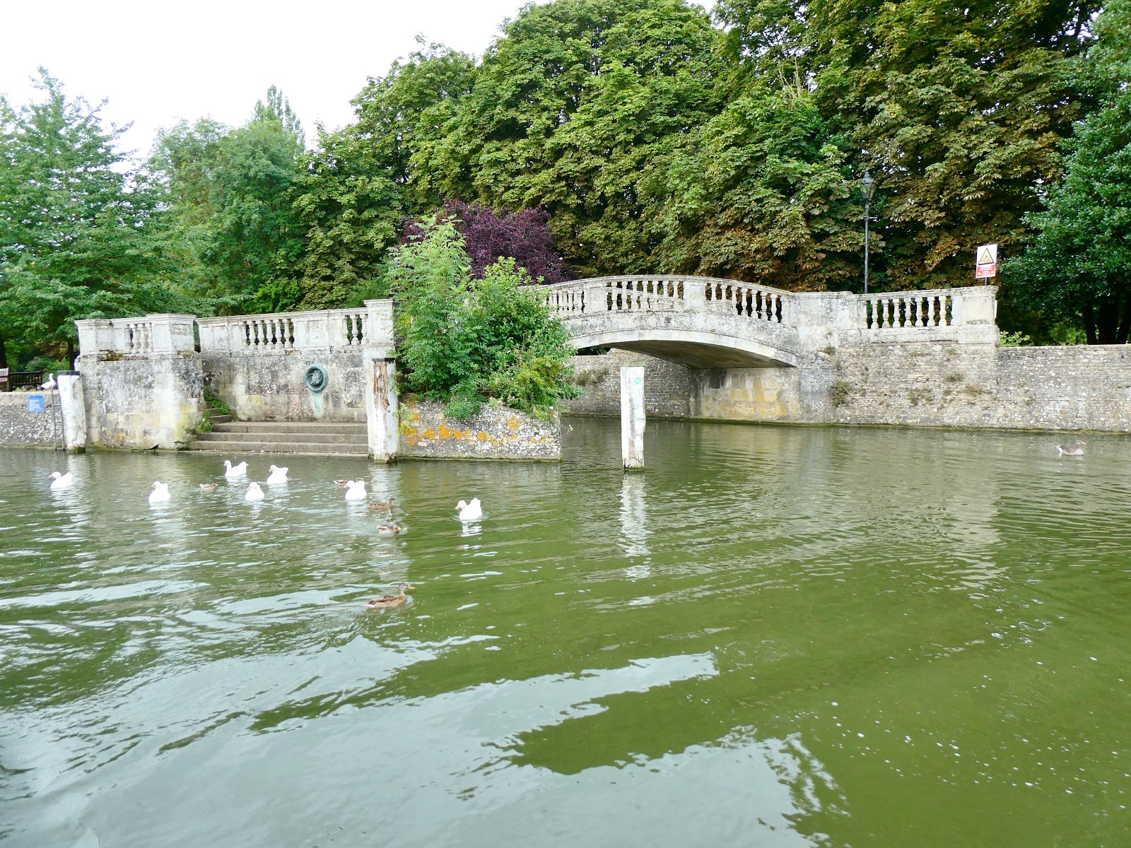 and Millie makes three East Street Moorings, Oxford (River Thames