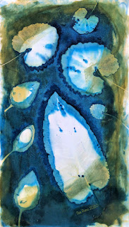 Wet cyanotype_Sue Reno_Image 830