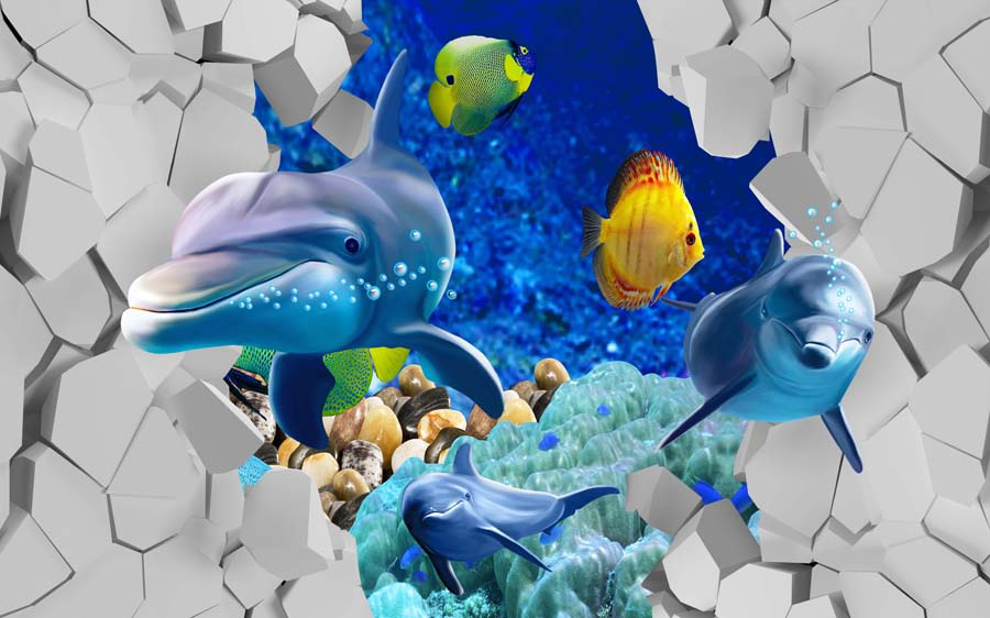 3D Dolphins Fish PSD Wall Background