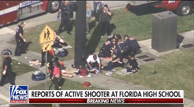 At least 5 dead as 19 year old former student opens fire in a Florida High School (photos)