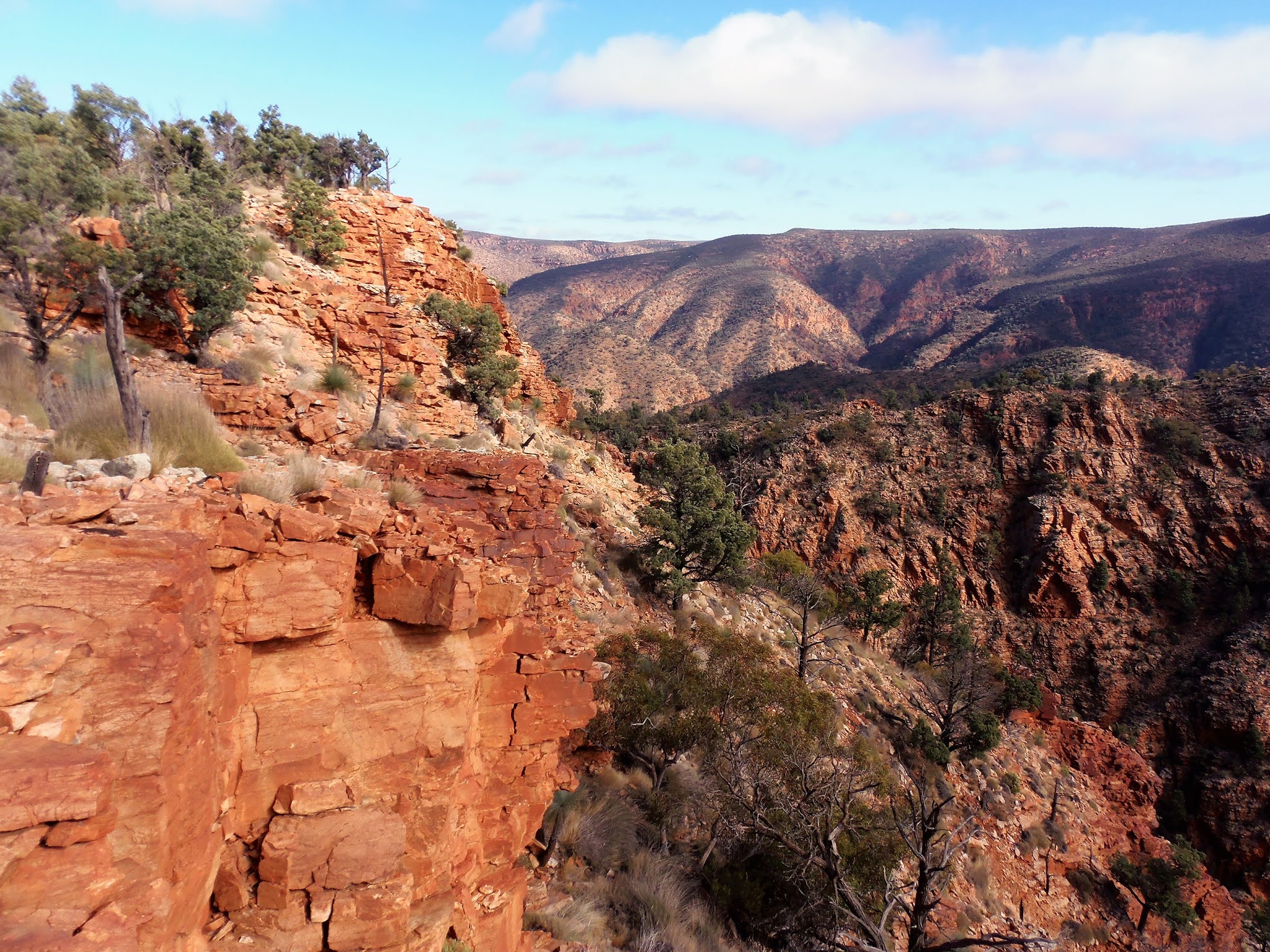 Goin' Feral One Day At A Time Wild Flower Creek Camp to Junction Creek