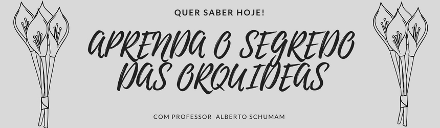  ⇒【Como Cuidar de Orquídeas Hoje Com Professor Aberto 】← ←