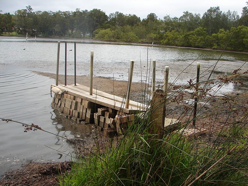 Snap Happy Birding: When is a jetty, not a jetty?