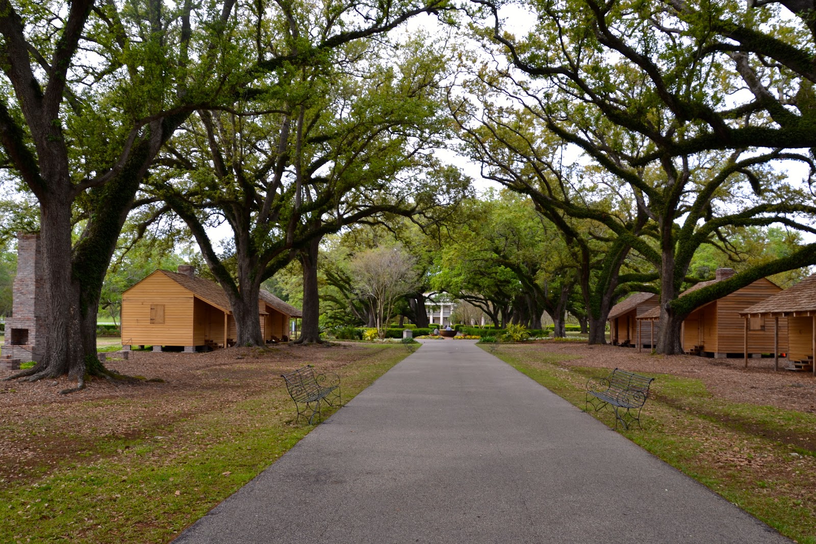 The Life and Times of MSCH Grimes Oak Alley Plantation