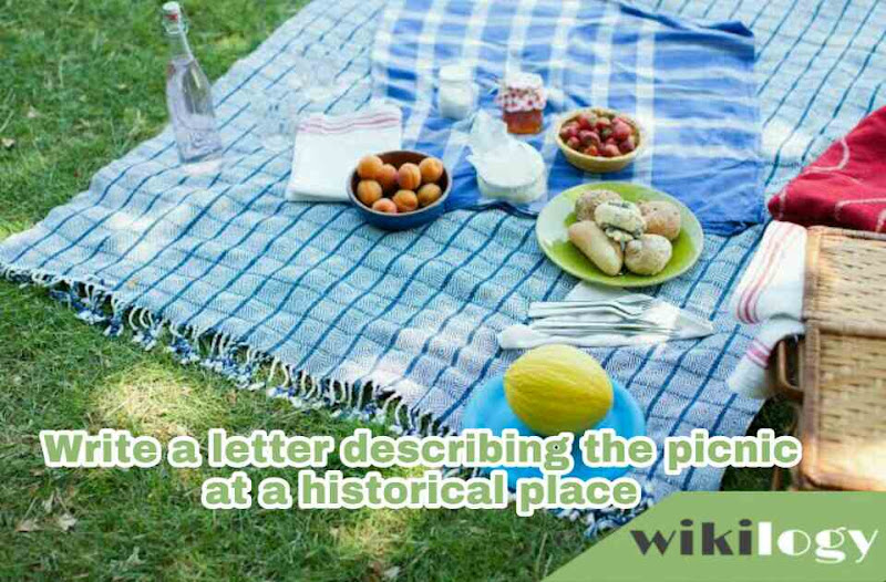 Write a letter describing the picnic at a historical place