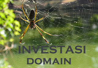 investasi domain