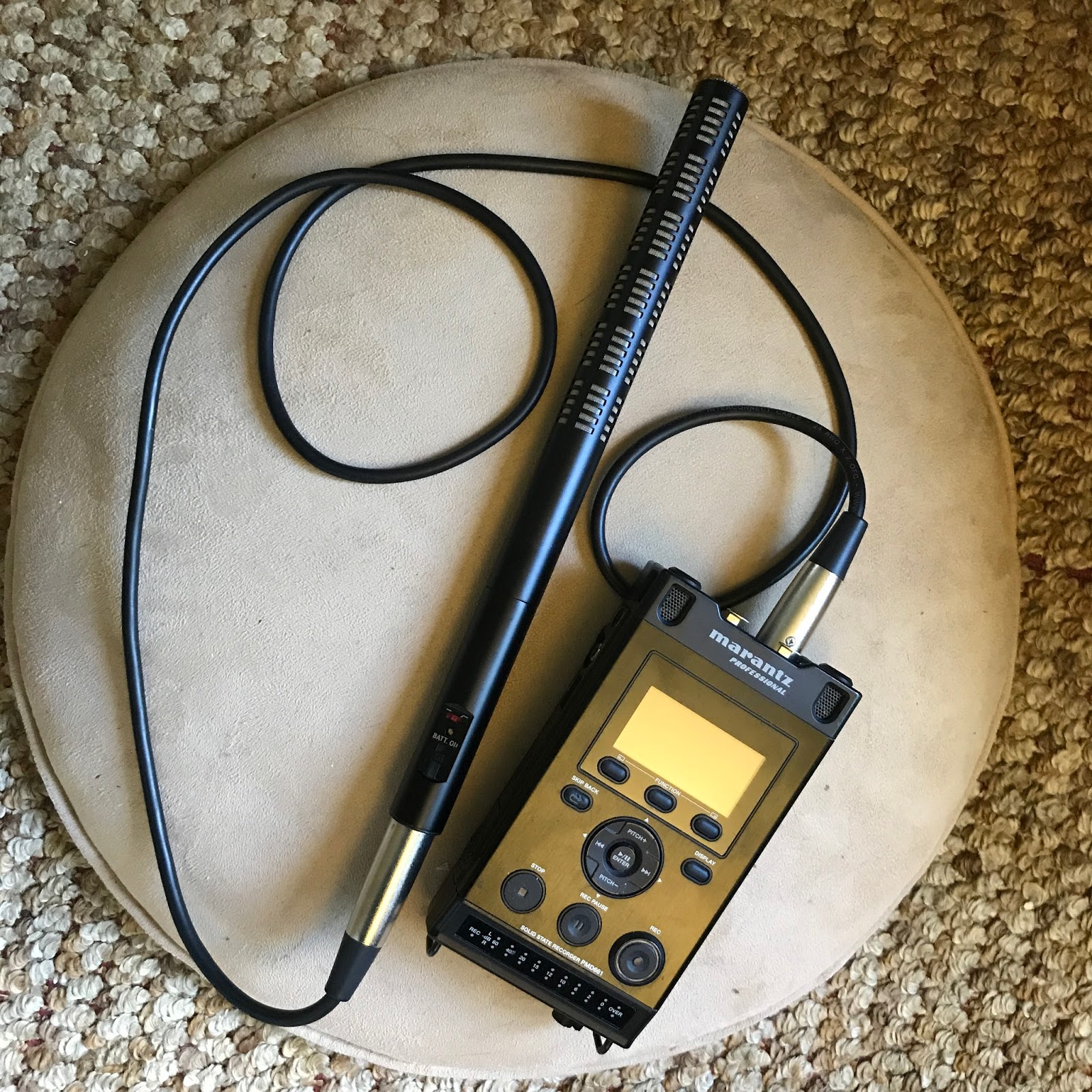 Laura's Birding Blog My sound recording equipment