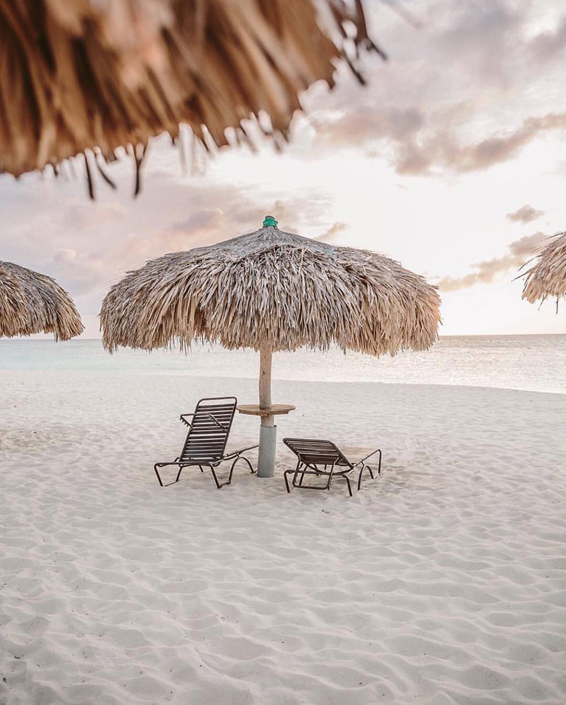 2019 Edition | One Last Longing Look at Summertime…