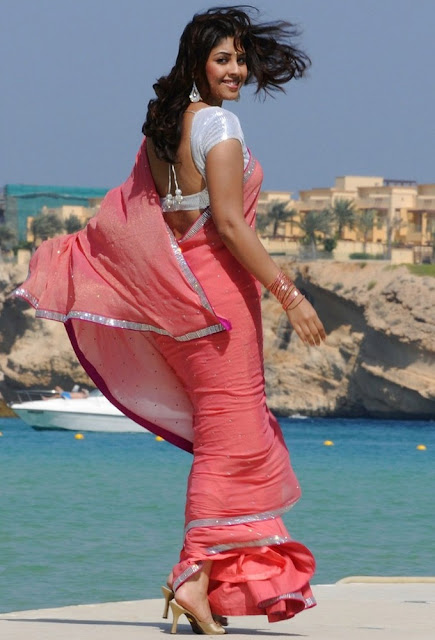 Actress Richa Gangopadhyay Hot Stills In Pink Saree 18