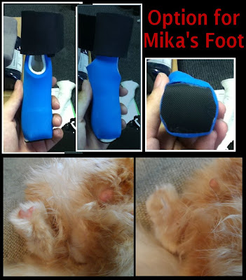Option for Mika's prosthetic foot from OrthoPets