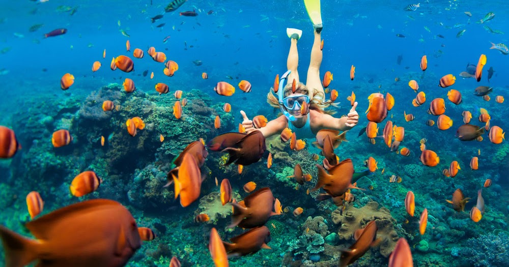 Friendship holliday: Snorkeling Bali can Make You Feel Mesmerized!